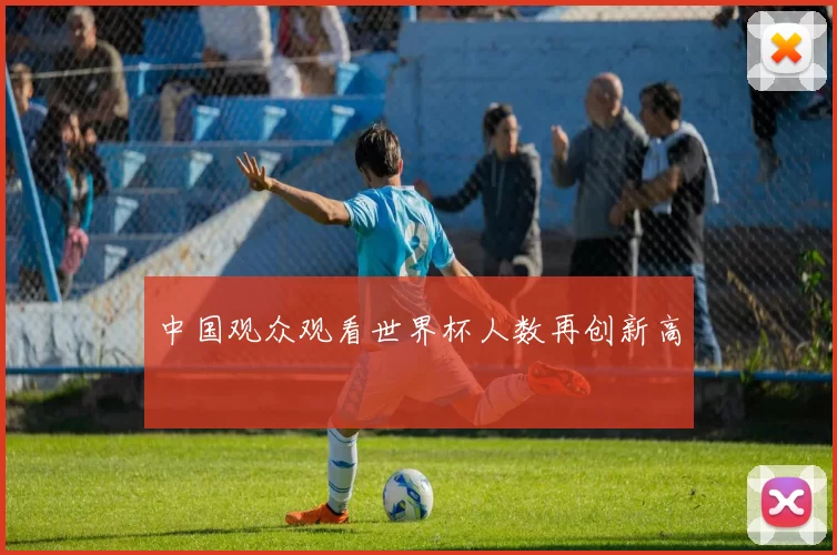 中国观众观看世界杯人数再创新高
