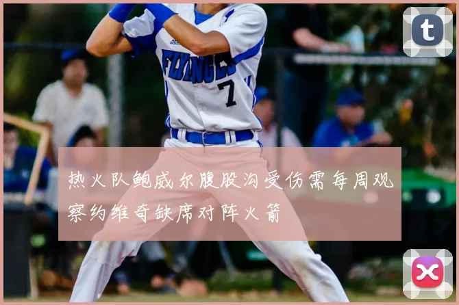 热火队鲍威尔腹股沟受伤需每周观察约维奇缺席对阵火箭