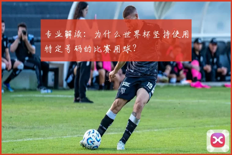 专业解读:为什么世界杯坚持使用特定号码的比赛用球?