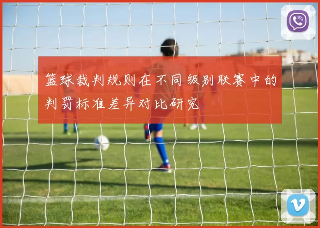 篮球裁判规则在不同级别联赛中的判罚标准差异对比研究