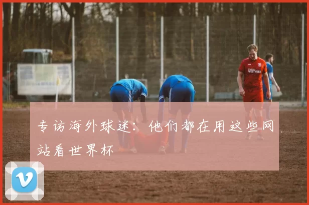 专访海外球迷：他们都在用这些网站看世界杯