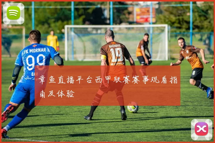 章鱼直播平台西甲联赛赛事观看指南及体验