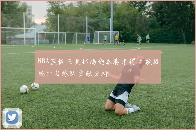NBA篮板王奖杯揭晓本赛季得主数据统计与球队贡献分析