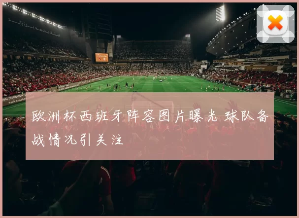 欧洲杯西班牙阵容图片曝光 球队备战情况引关注
