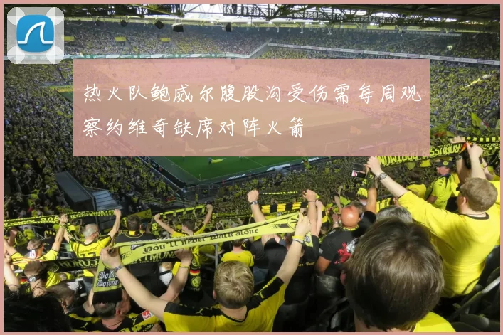 热火队鲍威尔腹股沟受伤需每周观察约维奇缺席对阵火箭