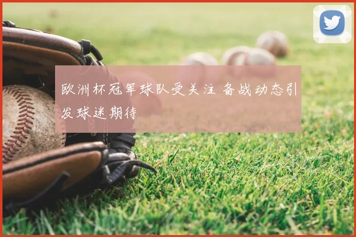 欧洲杯冠军球队受关注 备战动态引发球迷期待