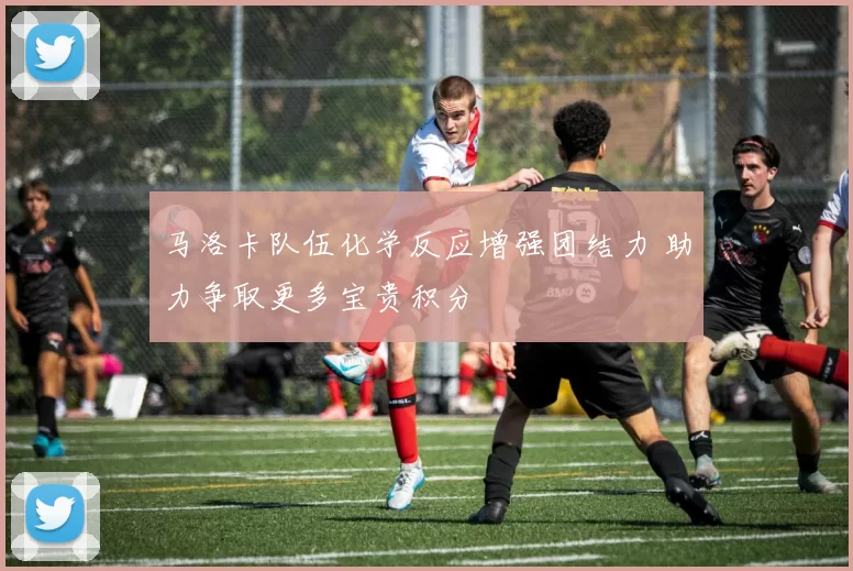 马洛卡队伍化学反应增强团结力 助力争取更多宝贵积分