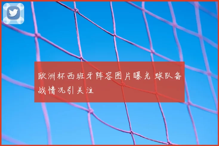 欧洲杯西班牙阵容图片曝光 球队备战情况引关注