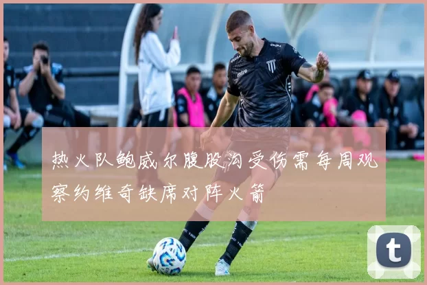 热火队鲍威尔腹股沟受伤需每周观察约维奇缺席对阵火箭
