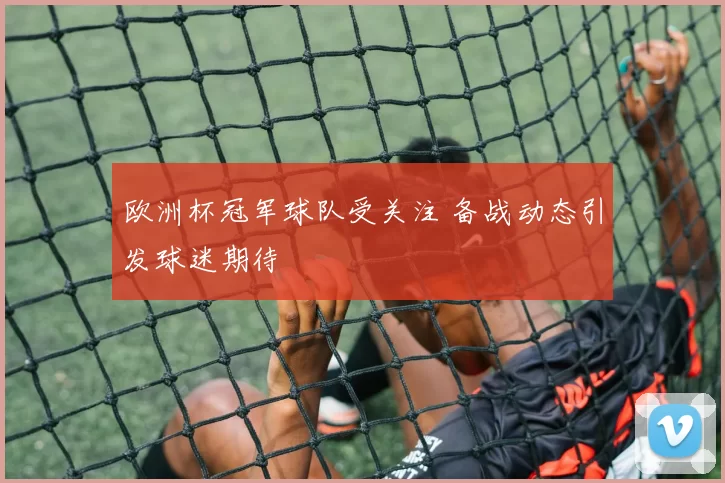 欧洲杯冠军球队受关注 备战动态引发球迷期待