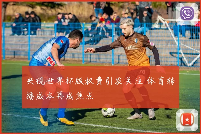 央视世界杯版权费引发关注 体育转播成本再成焦点