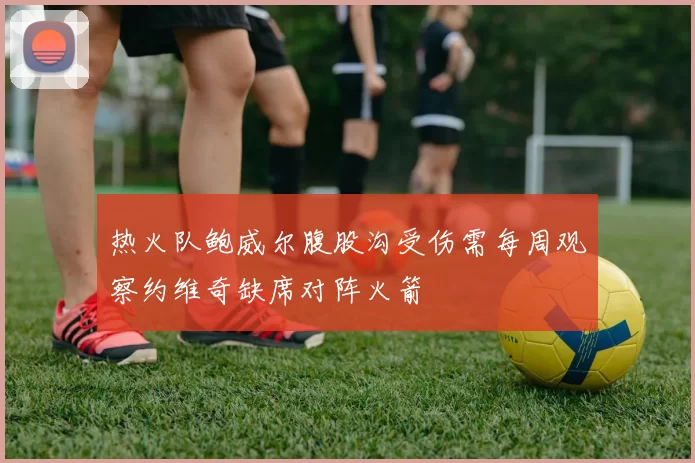 热火队鲍威尔腹股沟受伤需每周观察约维奇缺席对阵火箭