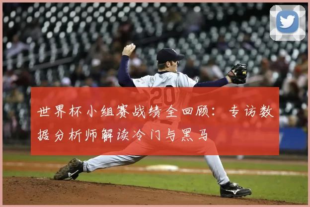 世界杯小组赛战绩全回顾:专访数据分析师解读冷门与黑马