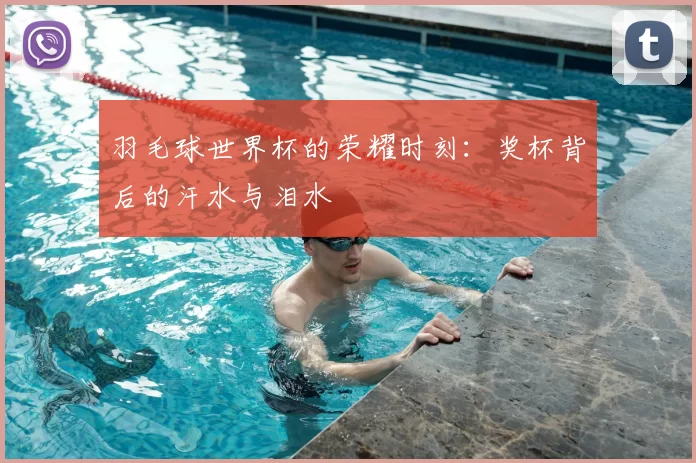 羽毛球世界杯的荣耀时刻:奖杯背后的汗水与泪水