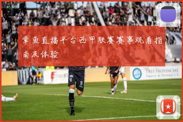 章鱼直播平台西甲联赛赛事观看指南及体验